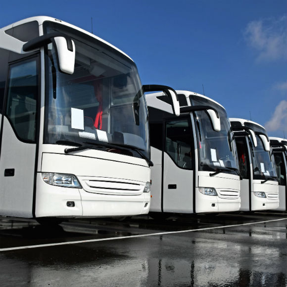 Row of white busses after rain or cleaning